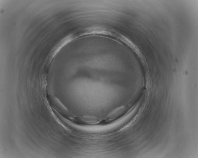 X0000084521377200702231123