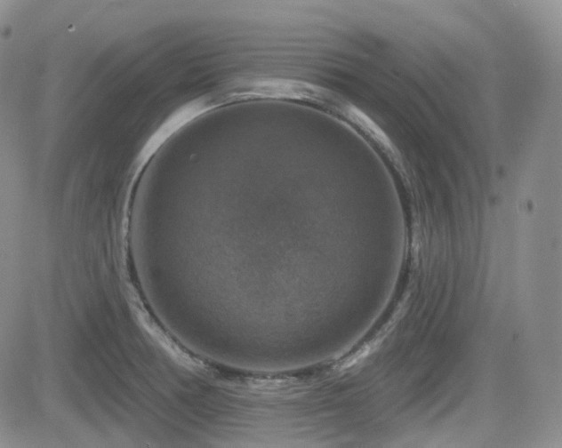 X0000084521378200702231123