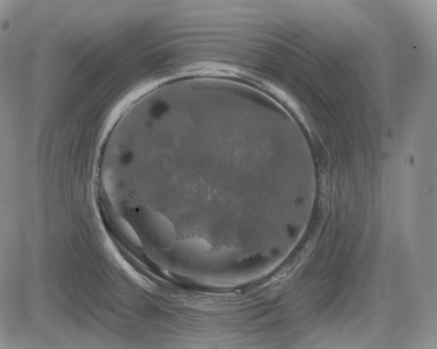 X0000084521379200702231123