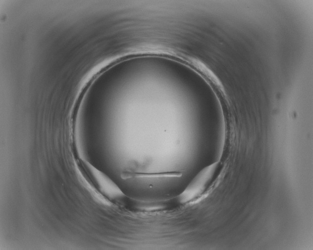 X0000084521380200702231123