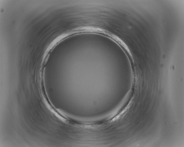 X0000084521381200702231123