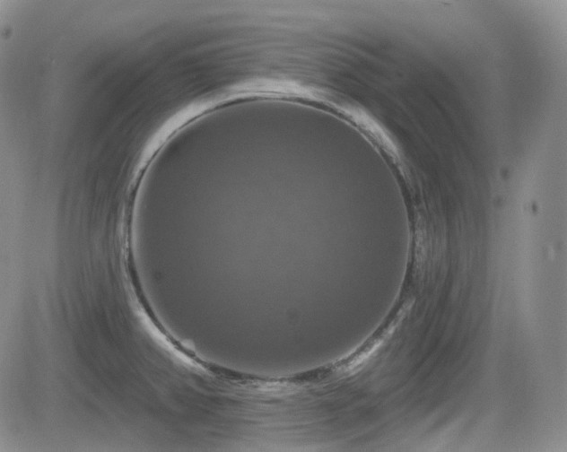 X0000084521382200702231123