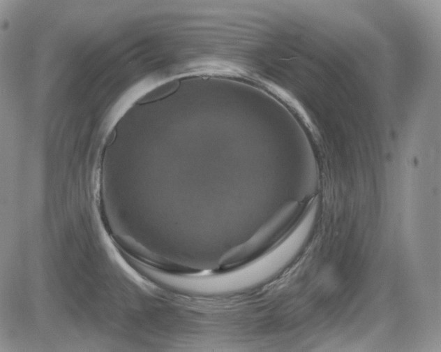 X0000084521383200702231123