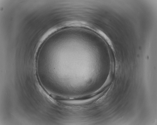 X0000084521384200702231123