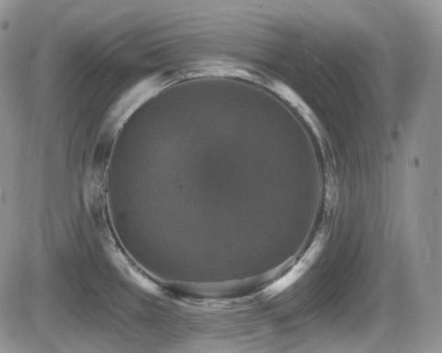 X0000084521385200702231123