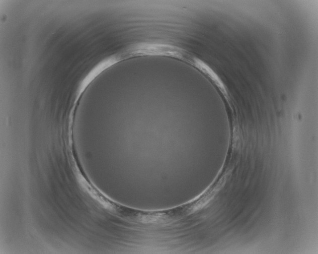 X0000084521386200702231123