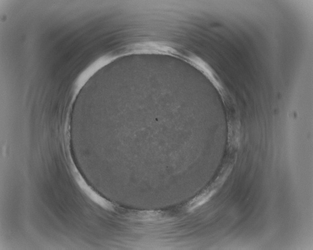 X0000084521387200702231123