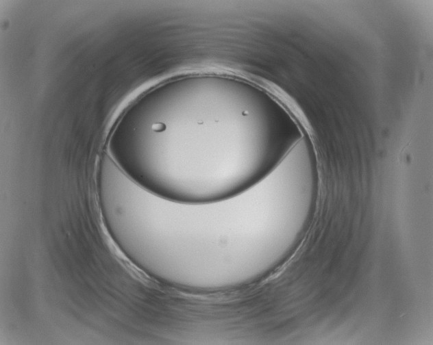 X0000084521388200702231123