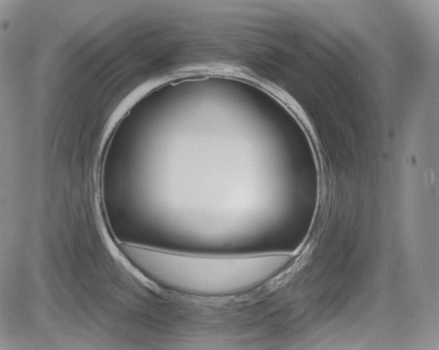 X0000084521389200702231123