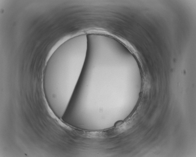 X0000084521390200702231123