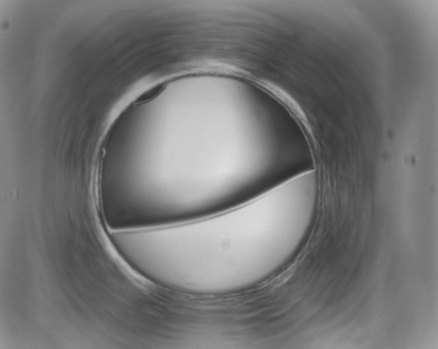 X0000084521391200702231123