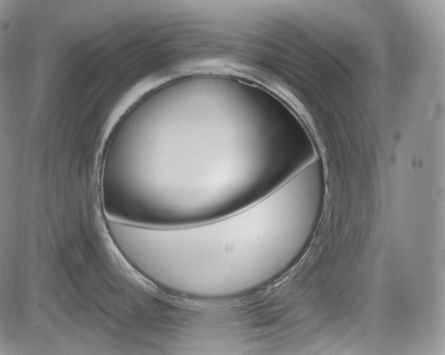 X0000084521392200702231123