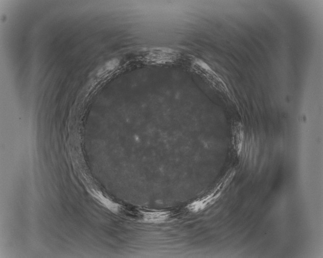 X0000084521393200702231122