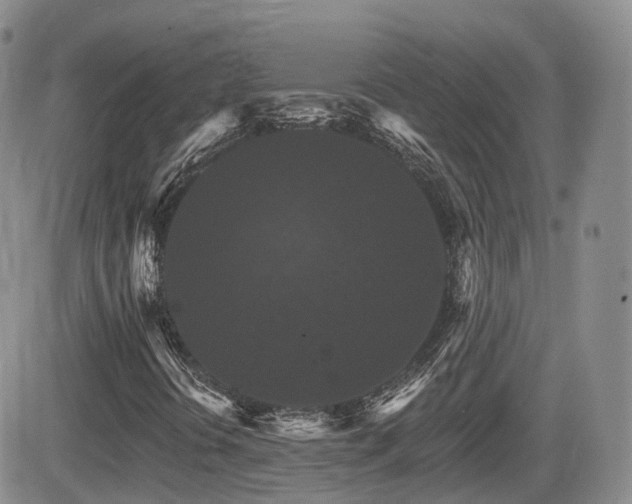 X0000084521394200702231122