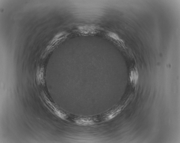 X0000084521396200702231122