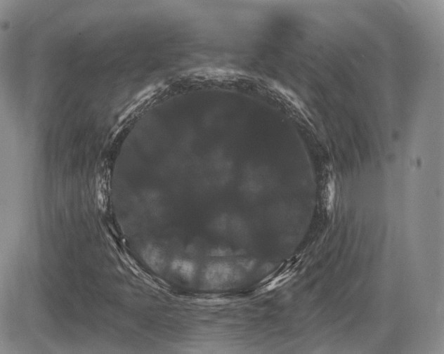 X0000084521397200702231122