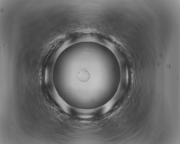 X0000084521398200702231122