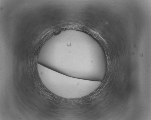 X0000084521399200702231122