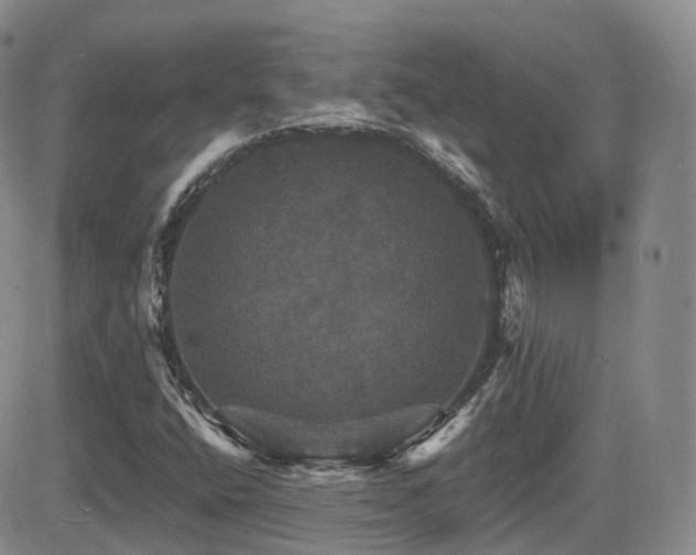 X0000084521400200702231122