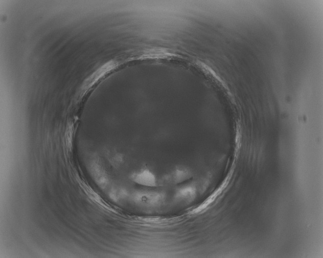 X0000084521401200702231122