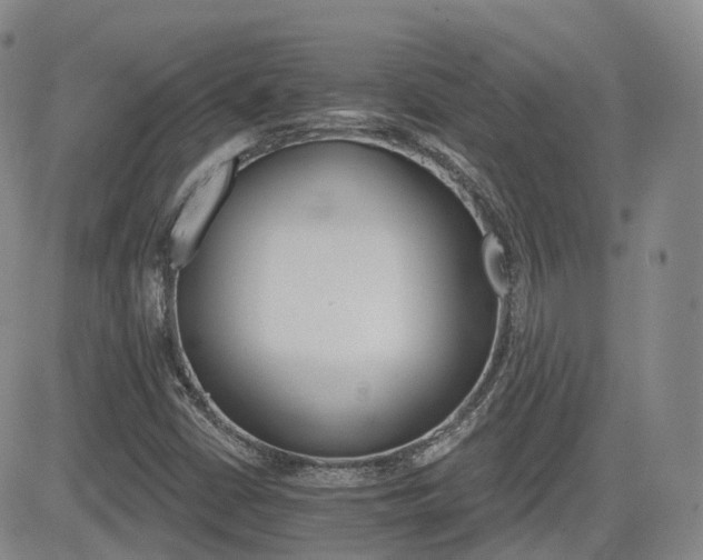 X0000084521402200702231123