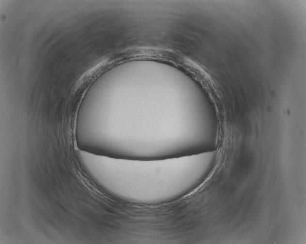 X0000084521403200702231123