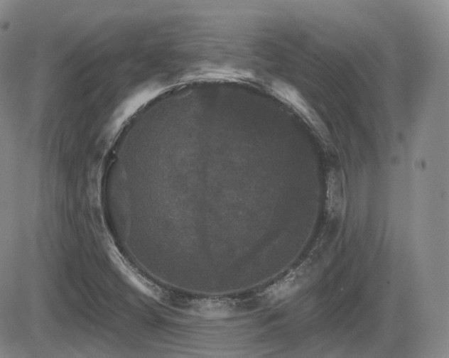 X0000084521404200702231123