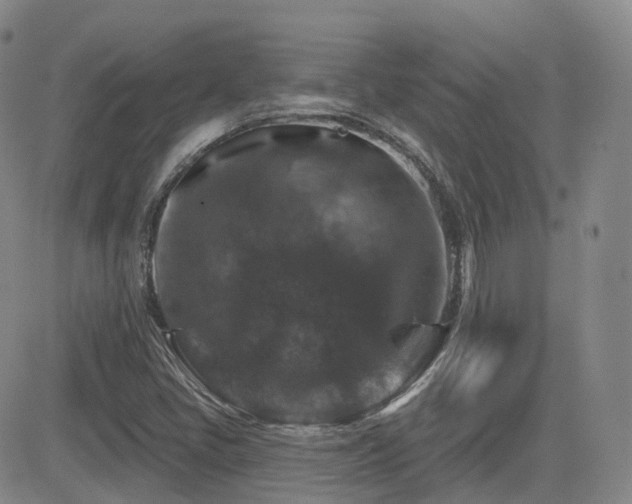 X0000084521405200702231123