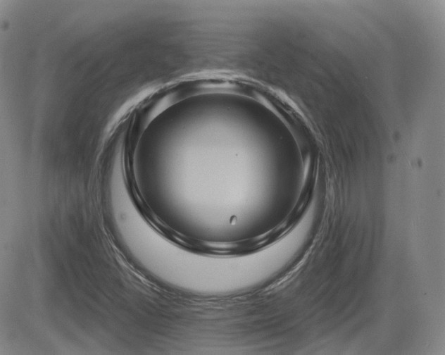 X0000084521406200702231123