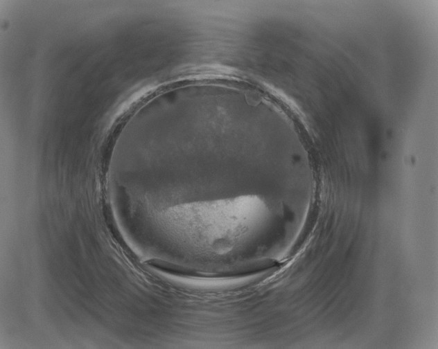 X0000084521407200702231123