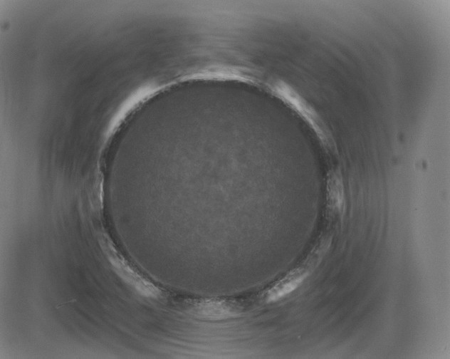 X0000084521408200702231123