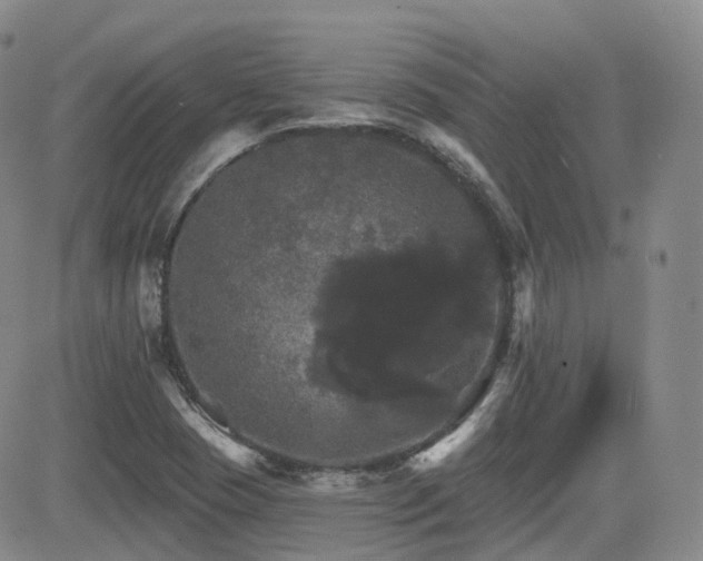 X0000084521409200702231123