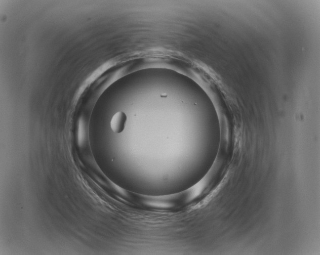 X0000084521410200702231123