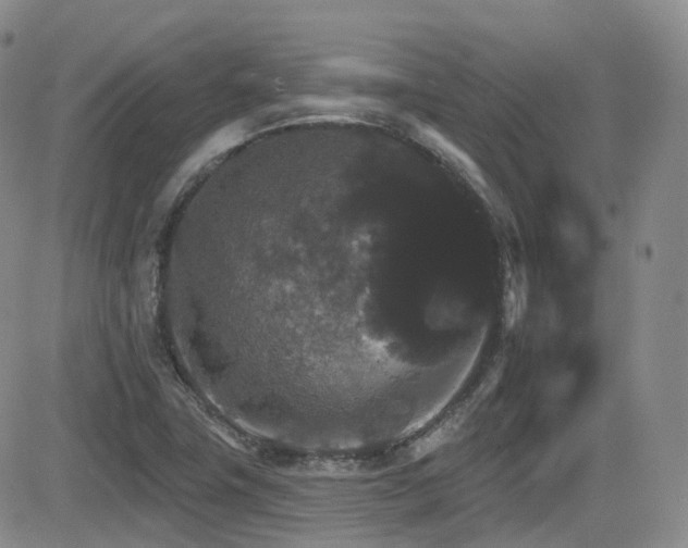 X0000084521411200702231123