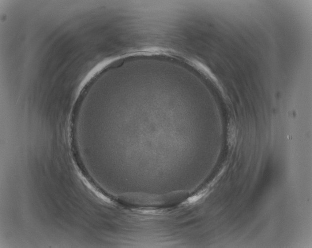 X0000084521412200702231123