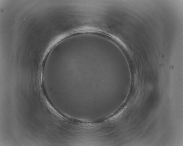 X0000084521413200702231123