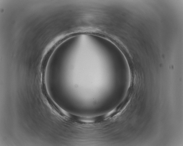 X0000084521414200702231123