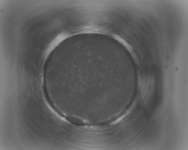 X0000084521415200702231123