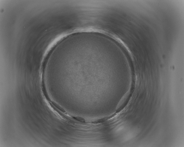 X0000084521416200702231123