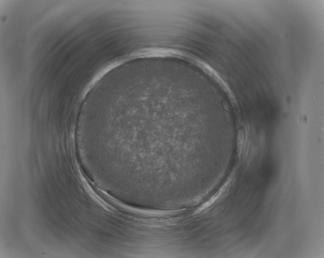 X0000084521417200702231123