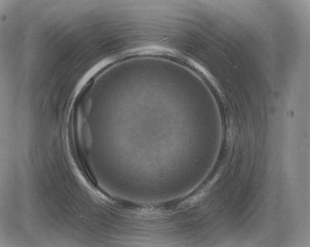 X0000084521418200702231123