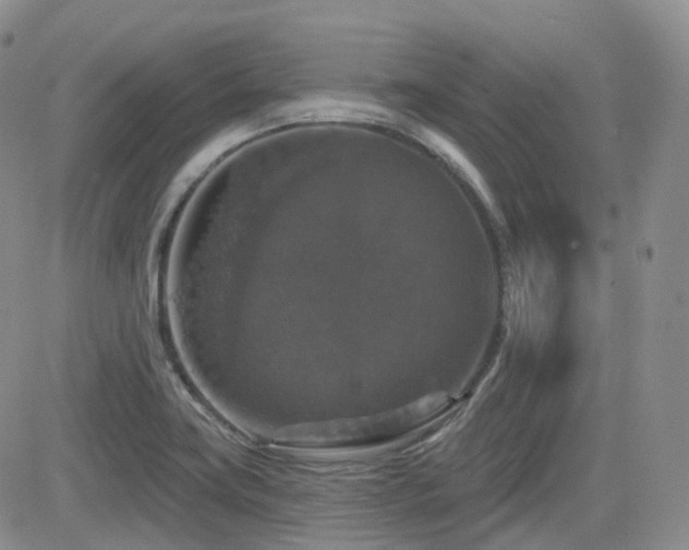 X0000084521419200702231123