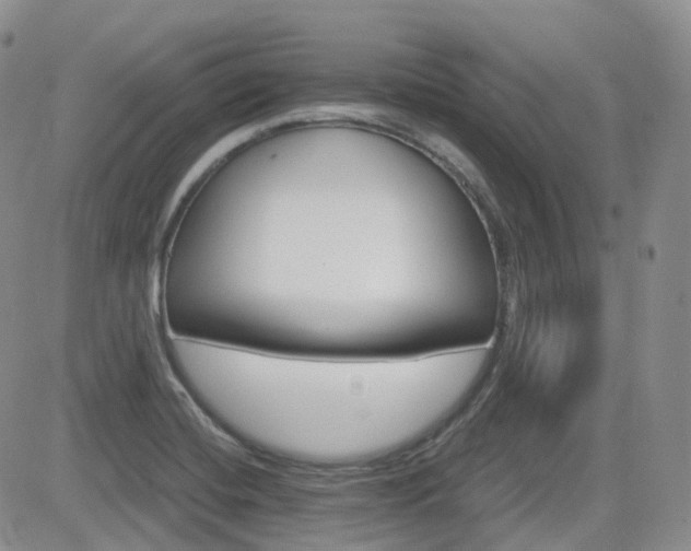 X0000084521420200702231123