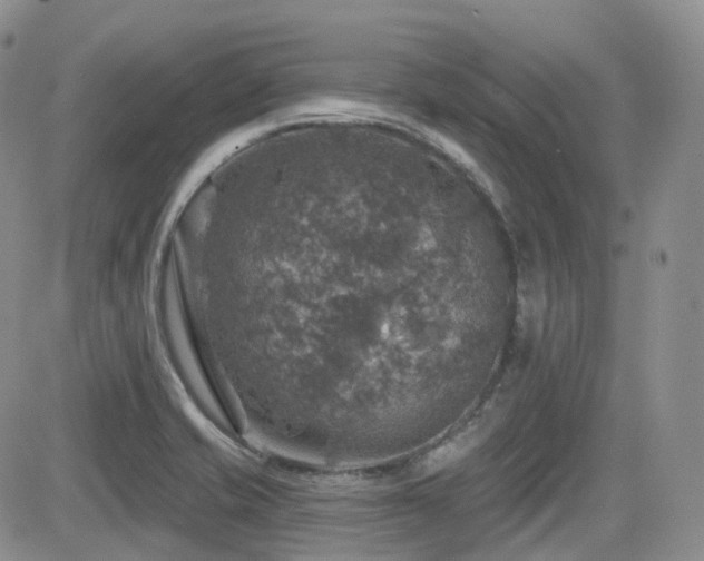 X0000084521421200702231123