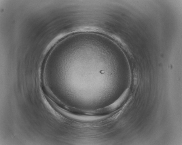 X0000084521422200702231123