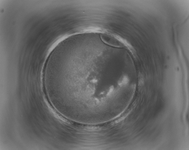 X0000084521423200702231123