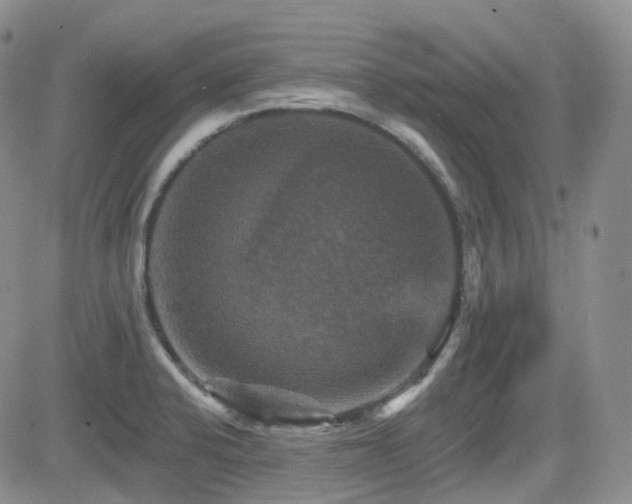 X0000084521424200702231123