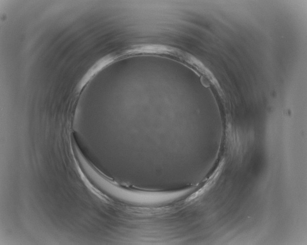 X0000084521425200702231123