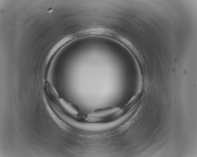 X0000084521426200702231123