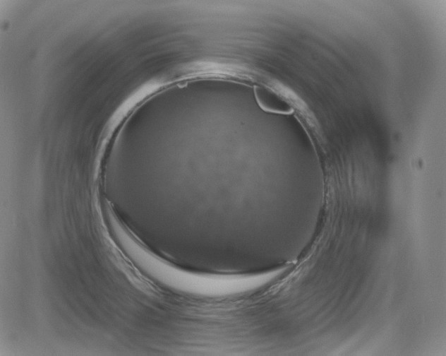 X0000084521427200702231123